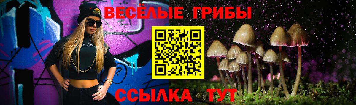 Галлюциногенные грибы мицелий  Вход с VPN  Северодвинск  Псилоцибиновые грибы GOLDEN TEACHER 